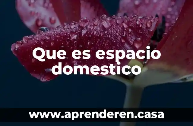 Que es espacio domestico
