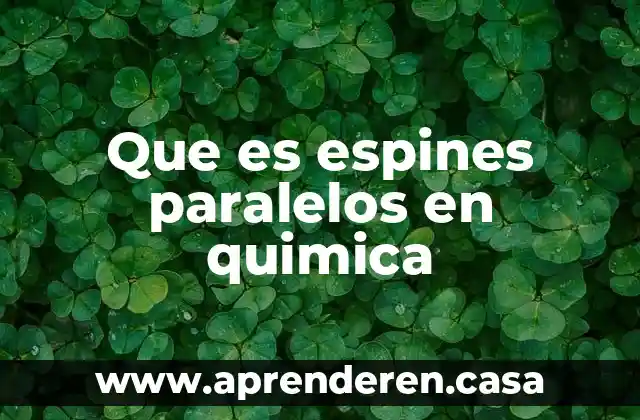 Que es espines paralelos en quimica