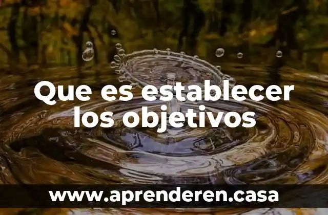 Que es establecer los objetivos
