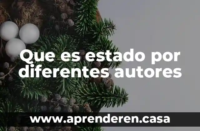 Que es estado por diferentes autores
