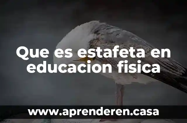 Que es estafeta en educacion fisica