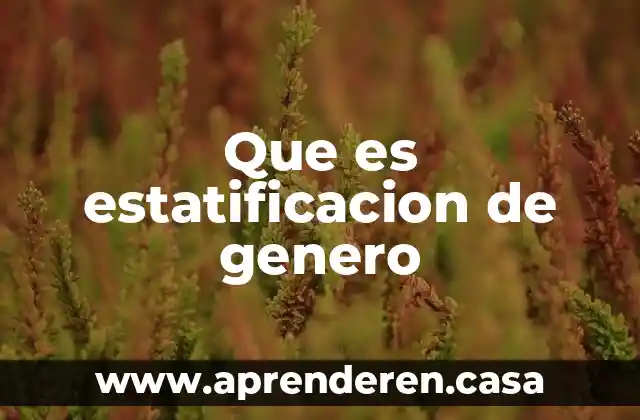 Que es estatificacion de genero