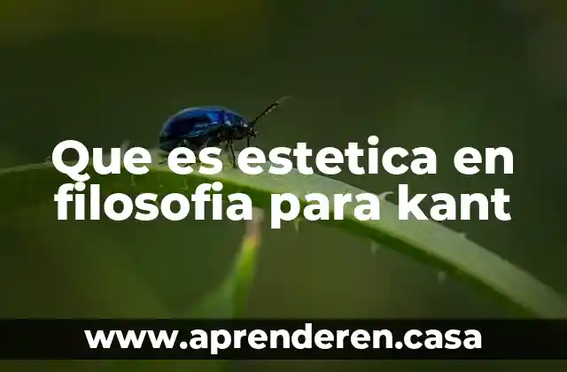 Que es estetica segun kant 3 Que es estetica en filosofia para kant