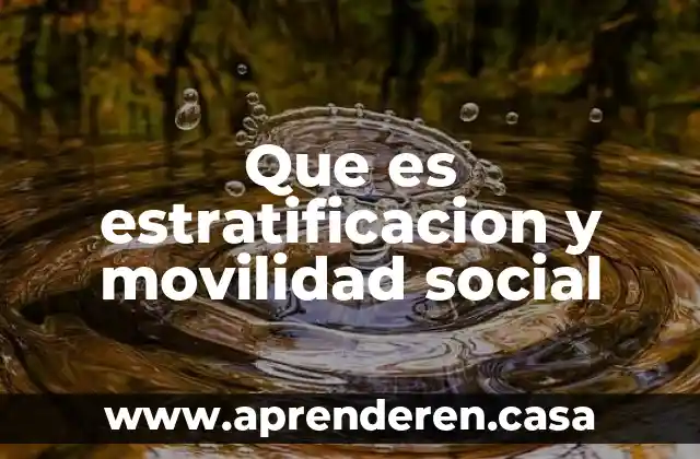 Que es la movilidad humana y la evolucion humana 3 Que es estratificacion y movilidad social