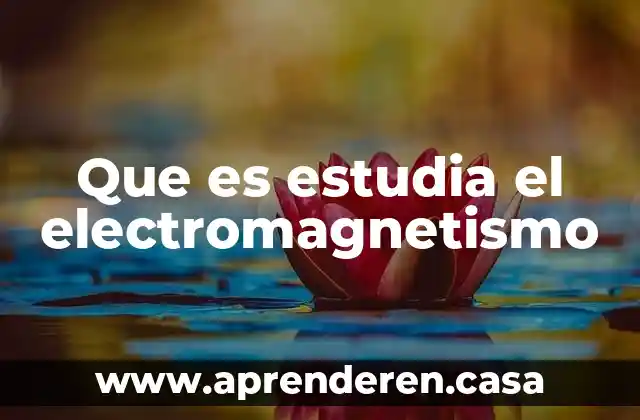 Que es el electromagnetismo en el cuerpo humano 3 Que es estudia el electromagnetismo