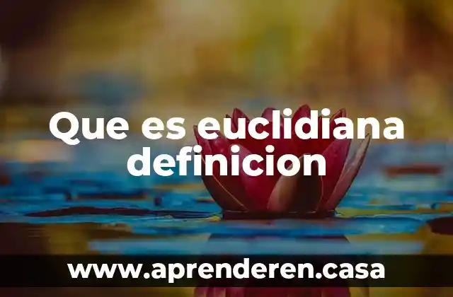 Que es euclidiana definicion