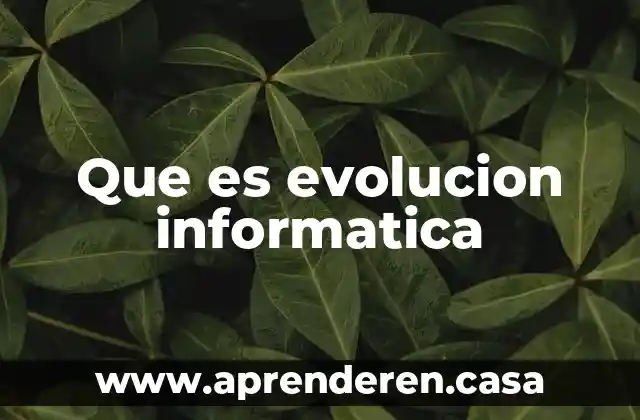 Que es evolucion informatica