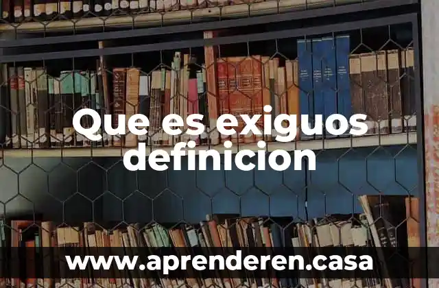 Que es exiguos definicion