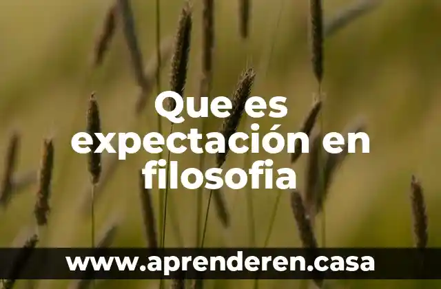 Que es expectación en filosofia