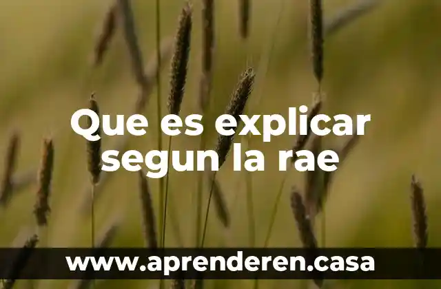Qué es la histeria según la psicología 5 Que es explicar segun la rae