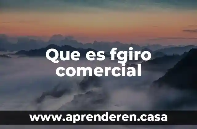 Que es el hardware comercial 3 Que es fgiro comercial