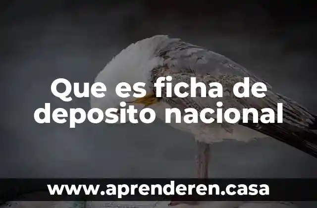 Que es ficha de deposito nacional