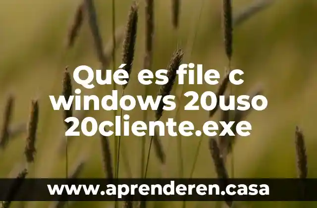 Qué es file c windows 20uso 20cliente.exe