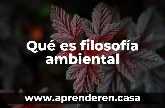 Qué es filosofía ambiental
