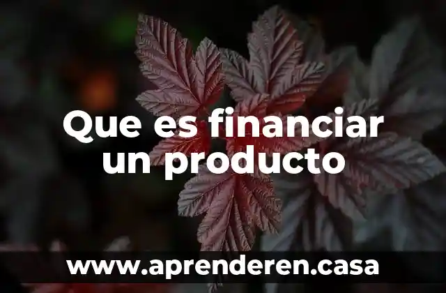 Que es financiar un producto