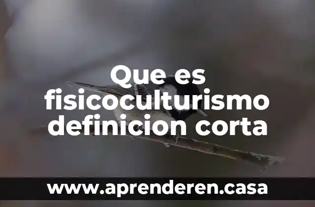 Que es un folleto informativo definicion libro 4 Que es fisicoculturismo definicion corta