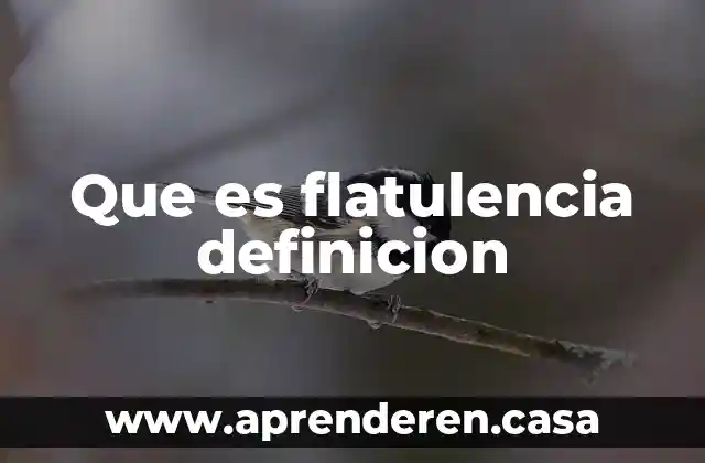 Que es flatulencia definicion