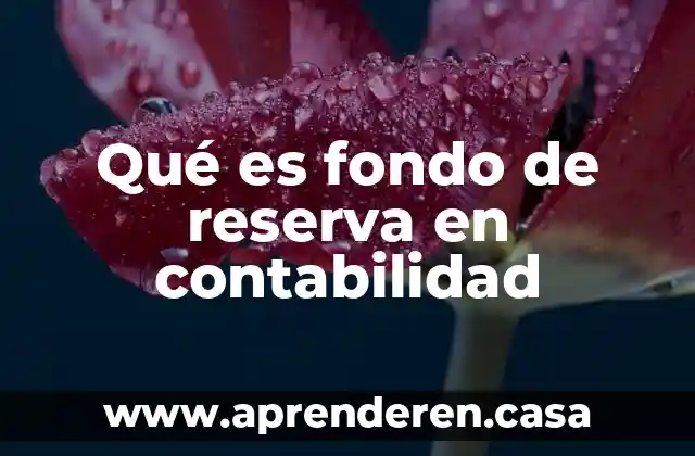 Qué es fondo de reserva en contabilidad