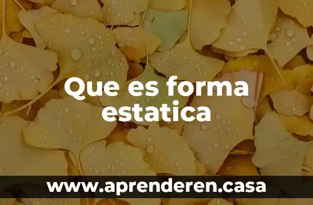 Que es forma estatica