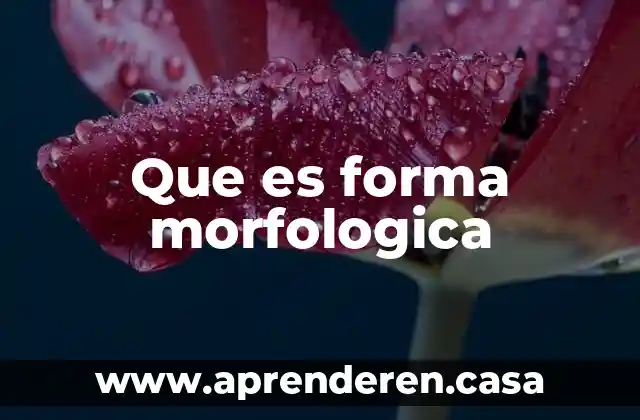 Que es forma morfologica