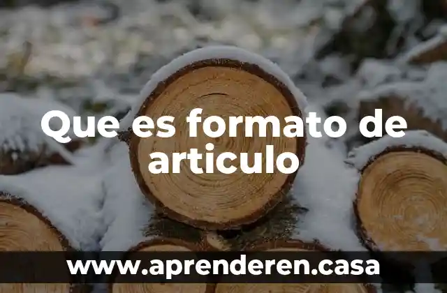 Que es formato de articulo