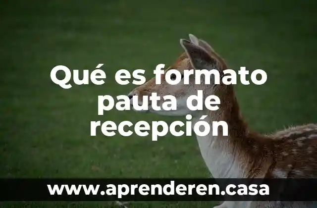 Qué es formato pauta de recepción