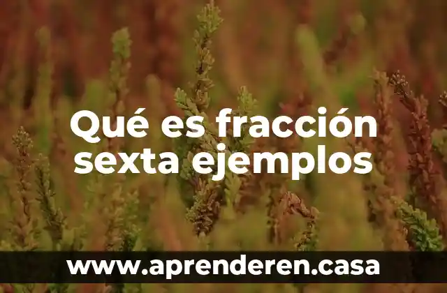 Qué es una fracción periódica y no periódica 8 Qué es fracción sexta ejemplos