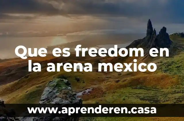 ¿Qué es más pesado el agua o la arena? 5 Que es freedom en la arena mexico