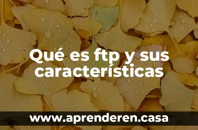 Qué es ftp y sus características