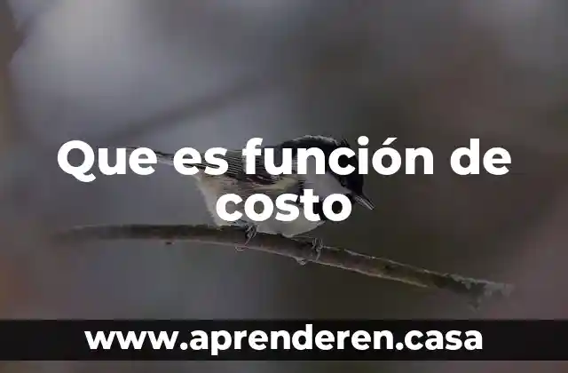 Que es función de costo