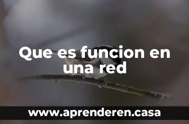 Qué es la red mutu 5 Que es funcion en una red