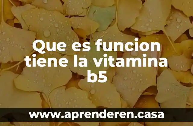 Que es funcion tiene la vitamina b5