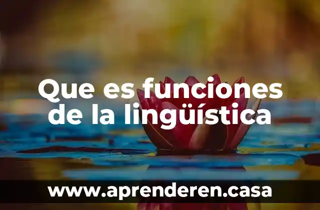 Que es funciones de la lingüística