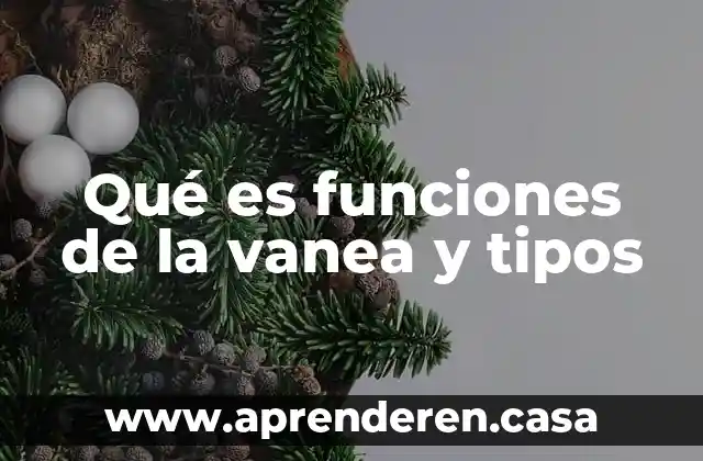 Qué es funciones de la vanea y tipos