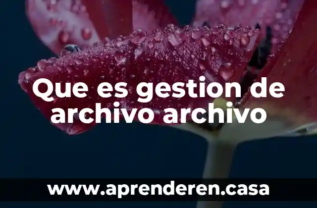 Que es gestion de archivo archivo