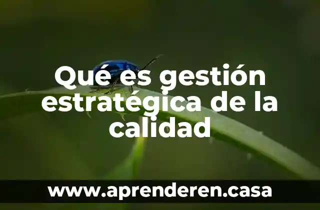 Que es la evaluacion estrategica de una empresa 6 Qu茅 es gesti贸n estrat茅gica de la calidad