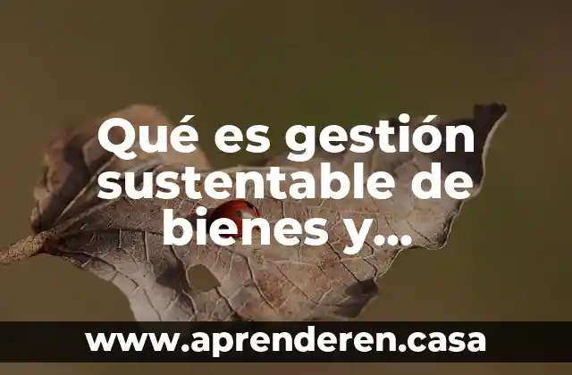 Que es mercado de bienes raices 3 Qué es gestión sustentable de bienes y gobernanza global