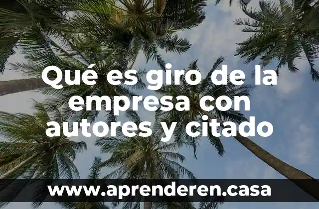 Qué es giro de la empresa con autores y citado