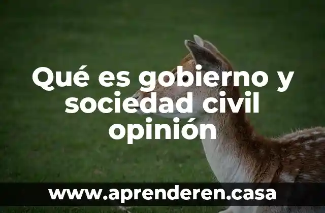 Qué es gobierno y sociedad civil opinión