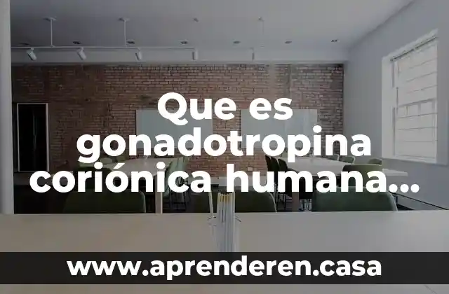 Qué es una fracción periódica y no periódica 5 Que es gonadotropina coriónica humana fracción beta