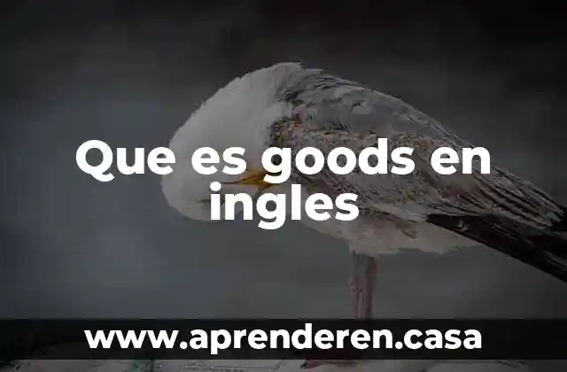 Que es goods en ingles