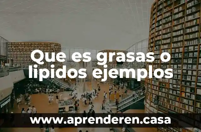 Que es un aditivo en grasas y aceites comestibles unam 3 Que es grasas o lipidos ejemplos