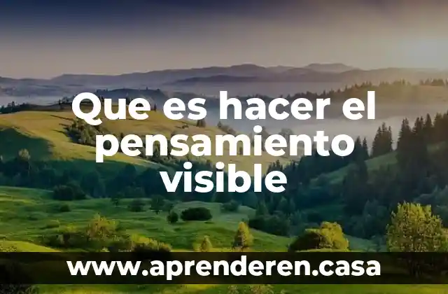 Que es hacer el pensamiento visible