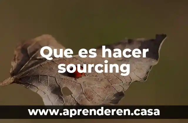 Que es hacer sourcing
