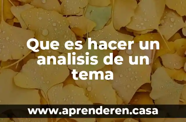 Que es hacer un analisis de un tema