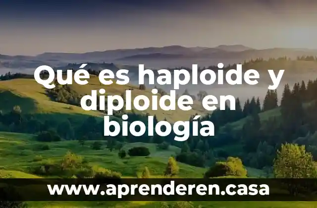 Qué es haploide y diploide en biología