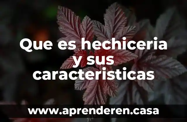 Que es hechiceria y sus caracteristicas