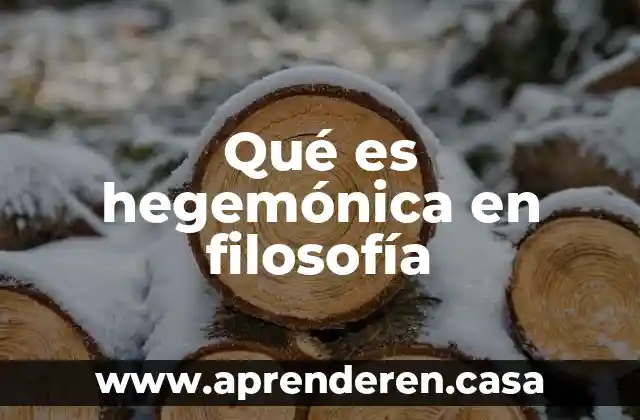 Qué es hegemónica en filosofía
