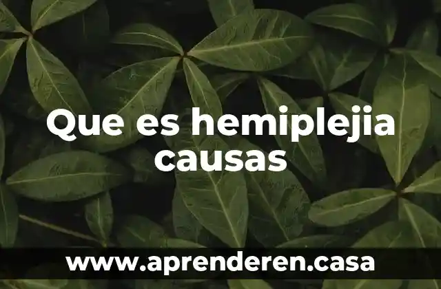 Que es hemiplejia causas
