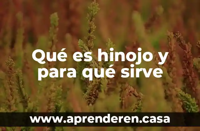 Qué es hinojo y para qué sirve